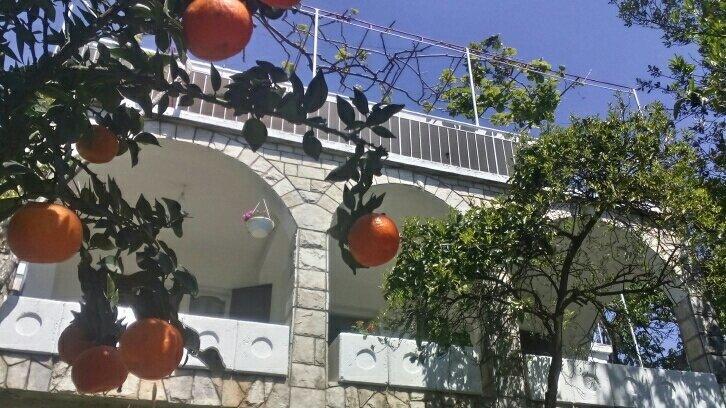 House Orange Apartments Herceg Novi Exterior photo