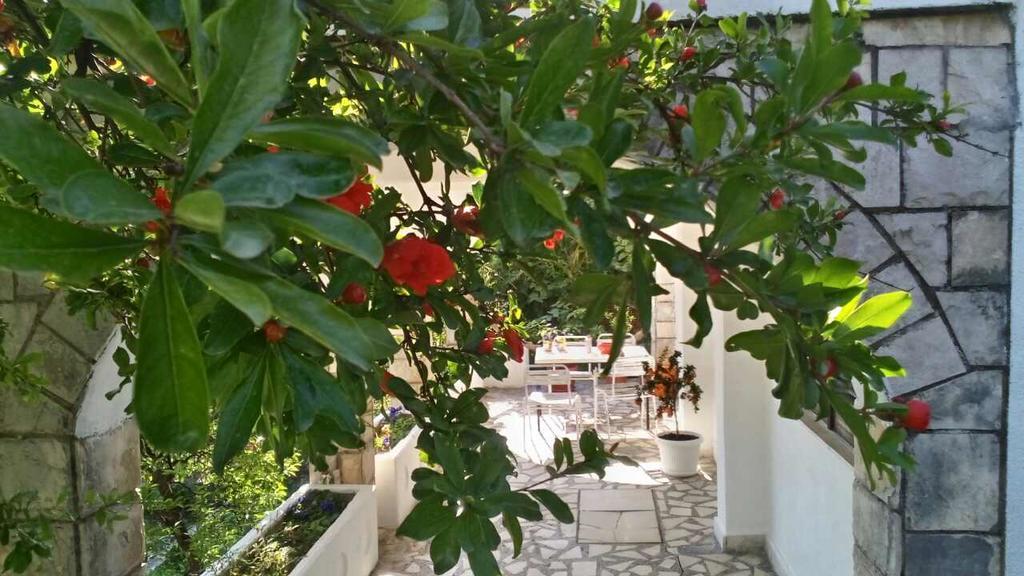 House Orange Apartments Herceg Novi Exterior photo